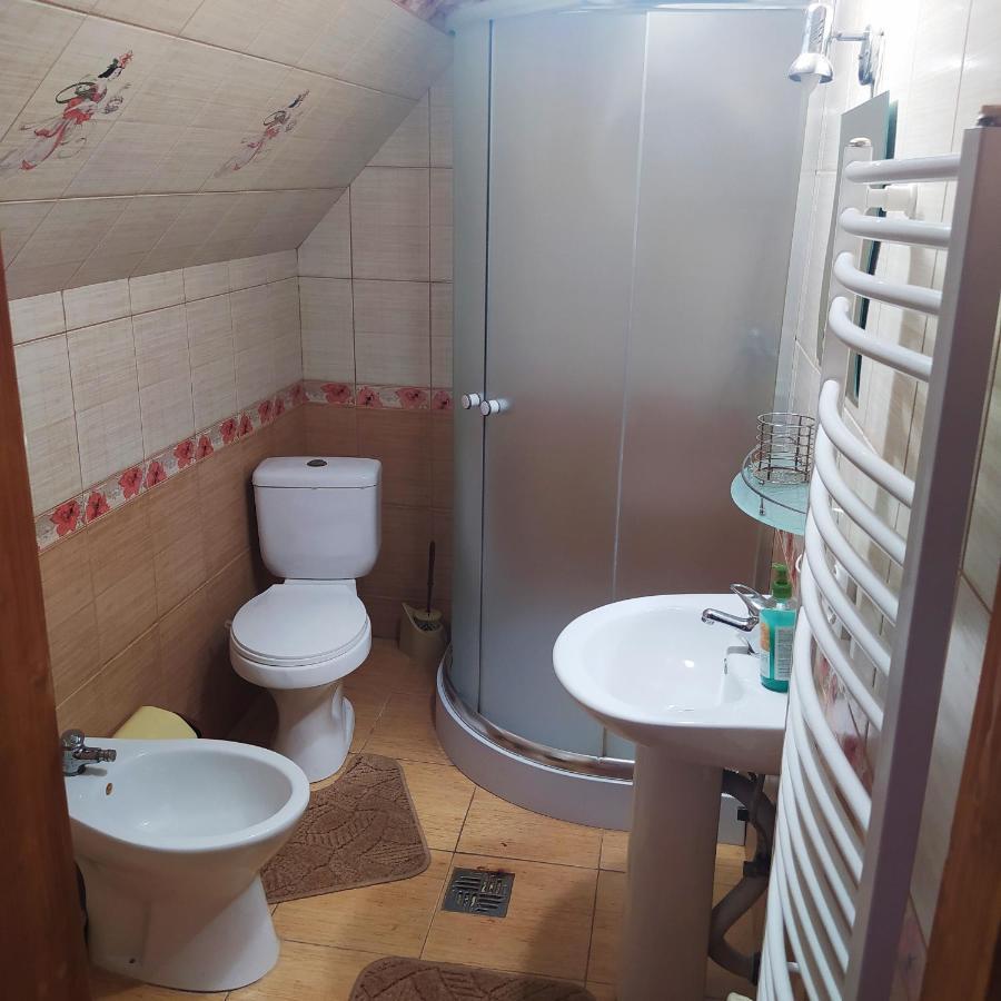 Appartement Мальва à Lazeshchyna Extérieur photo